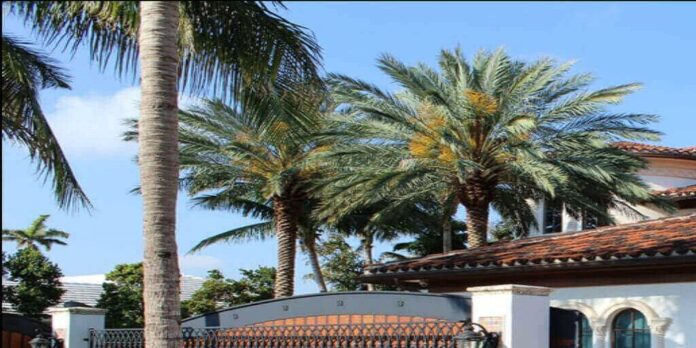 metal roofing companies near me