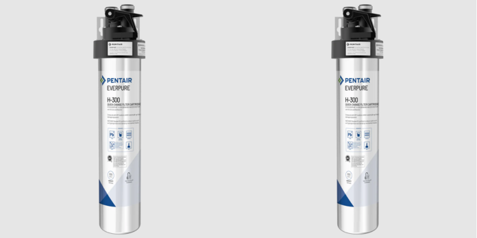 Everpure H 300