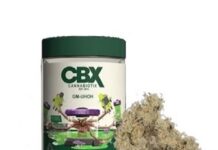 Best Ways to Enjoy Cannabis Flower: From Joints to Vaporizers