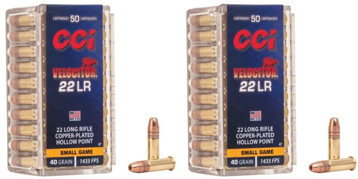.22 LR ammo