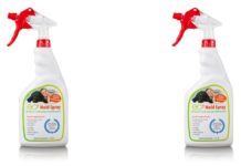 Where Should You Use EC3 Mold Spray?