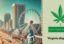 Cannabis Laws in Virginia: What You Need to Know in 2025