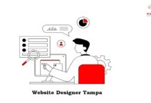 Top Trends a Website Designer in Tampa Is Using for Modern Websites