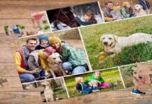 Why Promotional Puzzles Are the Corporate Gift Your Clients Will Actually Remember