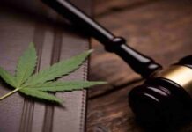 Why More Glaucoma Patients Are Choosing to Get a VA Medical Cannabis Card Online