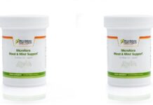 Your Moods and Your Gut Microbiome