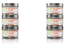 Why It’s So Hard to Get Rid of Mold