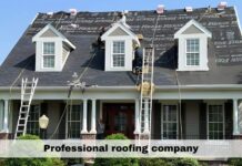 Why a Professional Roof Inspection Is Always Worth It