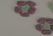 Is Weed Edible Delivery Discreet? Breaking Down the Process