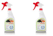 What’s Hiding in Your Children’s Playroom?