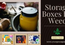 Why You Shouldn’t Use Cigar Storage Boxes for Weed