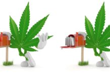 THCa Disposable Vapes: The Convenient Way to Enjoy Premium Hemp