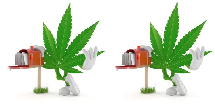 THCa disposable vapes