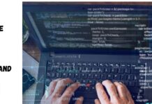 From Concept to Launch: The Website Design Process in Maryland