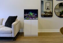 Why Aquarium Kits Make Sense for First-Time Aquarium Owners