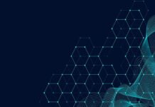 What Goes Into eCommerce AI Optimization Services: Content Optimization