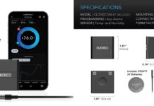 What You Need to Grow Plants Indoors Successfully