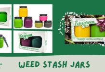 Signs That You’re Not Storing Your Weed the Right Way