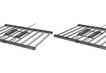 Signs Your Plants Aren’t Getting Enough Light