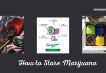 How to Store Marijuana: Everything You Need to Know