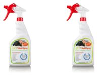 Why a Specialized Mold Treatment Spray Is Better Than Any DIY Solution