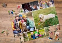 Promotional Puzzles: The Smartest Way to Say “Thanks” After a Project