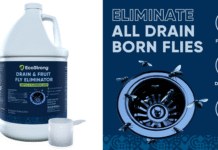 Understanding Drain Bugs: What They Are and Why They Appear