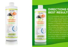 Is Your Home Mold-Free?