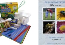 5 Great Reasons Why You Should Expose Your Child to Science Projects for Kids