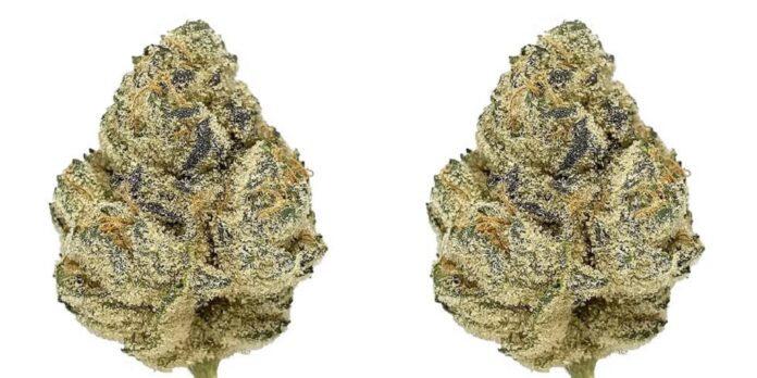 dispensaries in Virginia