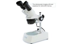 The Dissecting Microscope: A Window to a Whole New World for Your Children