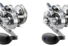 Rethinking Your Bias on Electric Reels