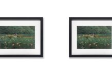Why Museum Art Prints Make Thoughtful Gifts