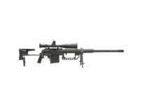 Long Range Rifles by the Features