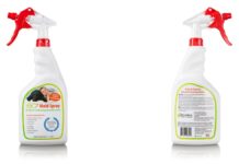 Top 5 Places in Your Home That Need Mold Spray