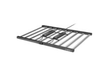 Will 1000 Watt LED Grow Lights Be Sufficient for My Indoor Plants?