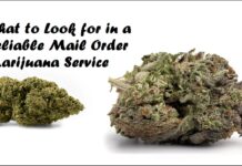 What to Look for in a Reliable Mail Order Marijuana Service