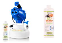 Mold Spores: Can You Get Rid of Them in Your Home?