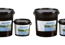 What Lake Muck Actually Is and Why Your Shoreline Keeps Getting Worse