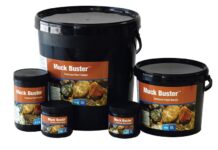 How to Properly Clean Your Pond to Get Rid of Muck