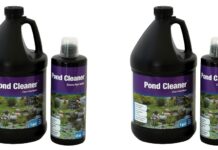 How to Clean Your Pond the Right Way