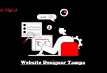 Key Features Every Modern Business Website Should Include, According to a Website Designer Tampa