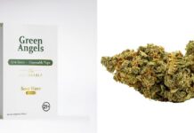 Virginia Dispensaries: Premium Options Near Richmond