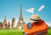 Expert SEO for Travel Businesses: Why the Smart Ones Stop Chasing Clicks