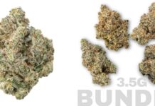 THCa Bundles Make Trying Cannabis Feel Way Less Complicated