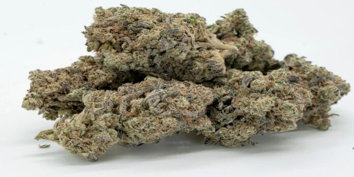 best way to keep cannabis fresh