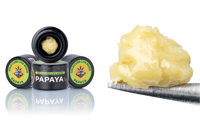 Papaya_Rosin_-_1__74474