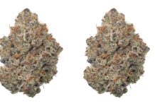 Why THCa Bundles Fit Real-Life Routines Better Than Buying One Product