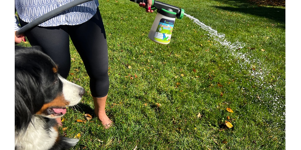How To Eliminate Outdoor Pet Odors Naturally & Keep Your Yard Fresh